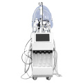 2021 Hot Seller Factory Price 10 in 1 Multi-functional Hydra Dermabrasion Facial Peeling Oxygen Hydro Care Facial Machine